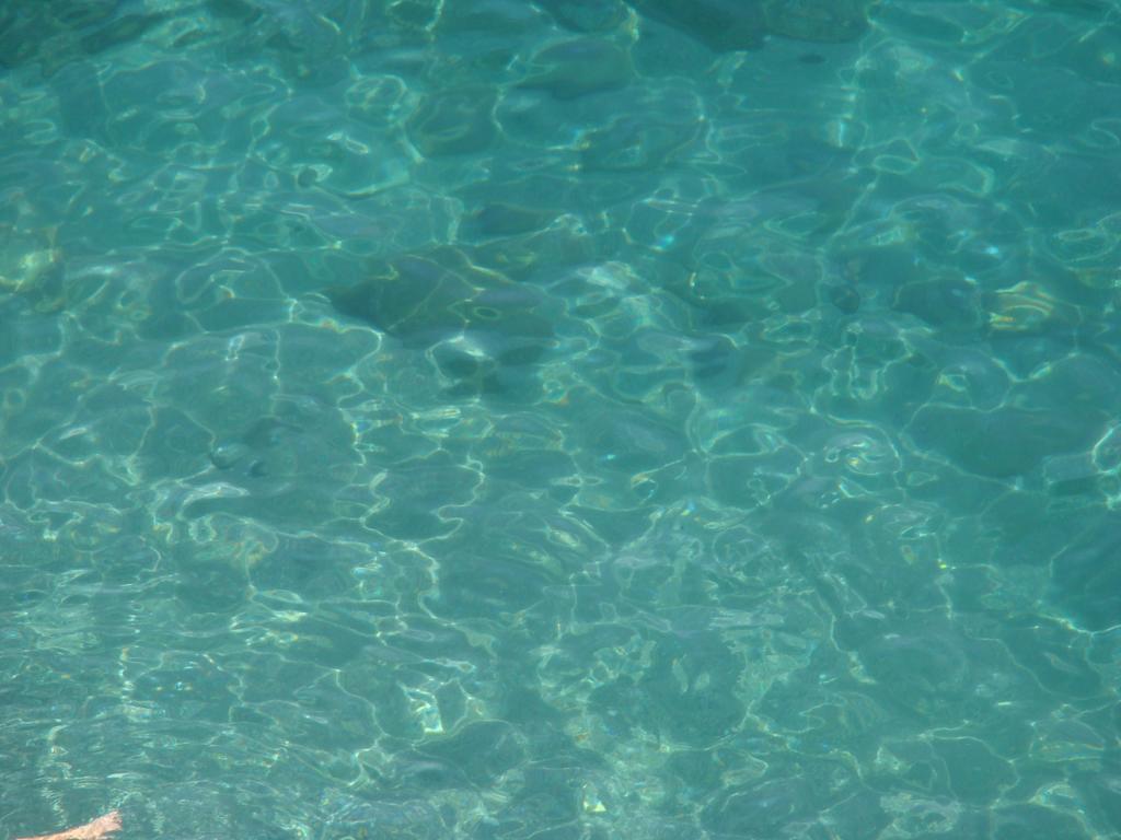 Apartament Un Sogno Chiamato Ravello Zewnętrze zdjęcie